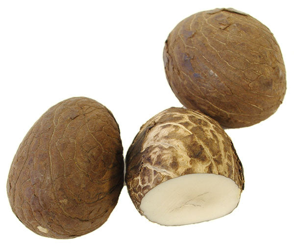 Pourquoi j'ai choisi de travailler le Corozo